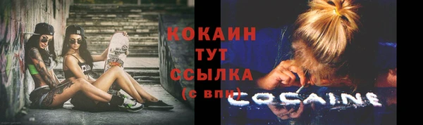 твердый Липки