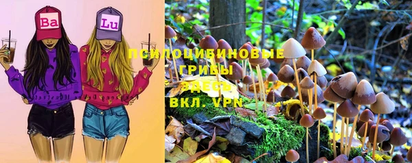 твердый Липки