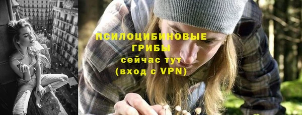 твердый Липки