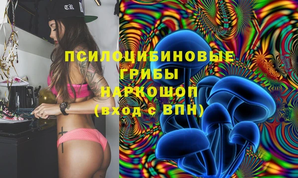 ГАЛЛЮЦИНОГЕННЫЕ ГРИБЫ Лихославль