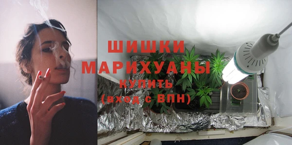 ГАЛЛЮЦИНОГЕННЫЕ ГРИБЫ Лихославль